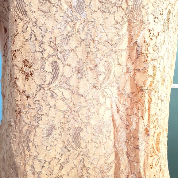 Beautiful Lace-Front, Solid Back and Sleeves, Office Casual S/S Top, Stretchy - Picture 4 of 10